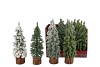 SILK X-MAS TREE DISPLAY 4 FINISH ASS 8X19CM