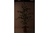 SILK PINE TREE LIGHT CHAIN JUTE 80X150CM