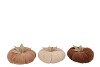 LAUREN BROWN PUMPKIN DECO ASS 20X11CM
