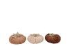 LAUREN BROWN PUMPKIN DECO ASS 17X9M