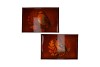 MELAMINE PRINT BROWN TRAY RECTANGLE BIRD ASS 40X26X4CM