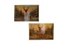 MELAMINE PRINT BROWN TRAY RECTANGLE DEER ASS 40X26X4CM