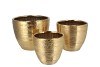 HARPER GOLD POT S/3 25X21/21X18/16X15CM