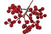 SILK CHRISTMAS BRANCH RED BERRY 50CM