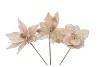 SILK POINSETTIA CHAMPAGNE ASS 27CM
