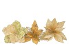 SILK POINSETTIA GOLD ASS 27CM