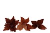 SILK POINSETTIA BROWN ASS 24CM