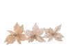 SILK POINSETTIA CHAMPAGNE ASS 24CM