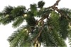 SILK PINE X-MAS BALL GOLD 102X55X18CM