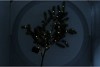 SILK PINE WITH LED 81X33X13CM