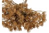 SILK OLD HERACLEUM GOLD SINGLE STEM 56CM