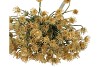 SILK OLD HERACLEUM KHAKI SINGLE STEM 56CM