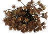 SILK OLD HERACLEUM BROWN SINGLE STEM 56CM