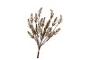SILK OLD ARTIFICIAL GRASS BROWN 54CM