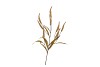 SILK OLD BRISTLEGRASS YELLOW SINGLE STEM 88CM