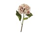 SILK OLD HYDRANGEA LIGHT BROWN SINGLE STEM 70CM