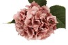 SILK OLD HYDRANGEA PINK SINGLE STEM 70CM