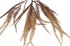 SILK OLD GRASS COFFEE SINGLE STEM 70CM