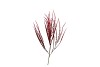 SILK OLD GRASS BURGUNDY SINGLE STEM 70CM