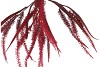 SILK OLD GRASS BURGUNDY SINGLE STEM 70CM
