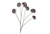 SILK OLD SCALLION BALLS FLOWER BROWN 119CM