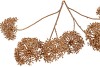 SILK OLD SCALLION BALLS FLOWER GOLD 119CM