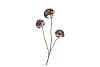 SILK OLD SCALLION BALLS FLOWER BROWN 77CM