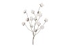 SILK OLD COTTON FLOWER WHITE STEM 127CM