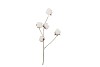 SILK OLD COTTON FLOWER WHITE STEM 83CM