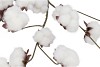 SILK OLD COTTON FLOWER WHITE STEM 83CM