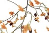 SILK OLD OAK FRUIT BROWN STEM 130CM