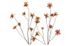 SILK OLD ASTERACEAE BEIGE BROWN STEM 123CM
