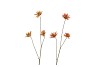 SILK OLD ASTERACEAE BEIGE BROWN STEM 81CM
