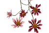 SILK OLD ASTERACEAE PURPLE/DARK PURPLE STEM 81CM