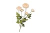 SILK OLD AUTUMN RANUNCULUS CREAM SINGLE STEM 62CM