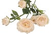 SILK OLD AUTUMN RANUNCULUS CREAM SINGLE STEM 62CM