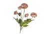 SILK OLD AUTUMN RANUNCULUS BROWN SINGLE STEM 62CM