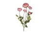 SILK OLD AUTUMN RANUNCULUS PINK SINGLE STEM 62CM