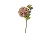 SILK OLD PEONY COFFEE SINGLE STEM 63CM