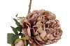 SILK OLD PEONY COFFEE SINGLE STEM 63CM