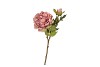 SILK OLD PEONY PINK SINGLE STEM 63CM