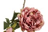 SILK OLD PEONY PINK SINGLE STEM 63CM