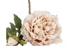SILK OLD PEONY WHITE SINGLE STEM 63CM