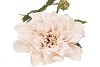 SILK OLD DAHLIA WHITE SINGLE STEM 68CM