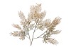 SILK OLD MIMOSA PUDICA GREEN SINGLE STEM 100CM