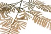 SILK OLD MIMOSA PUDICA GREEN SINGLE STEM 100CM