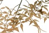 SILK OLD NANDINA GREEN SINGLE STEM 90CM