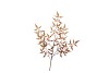 SILK OLD NANDINA YELLOW SINGLE STEM 90CM