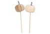 PICK JOYFUL SAND PUMPKIN VELVET ASS 50CM P/1