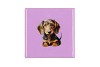 TILE DOG PURPLE 10X10X1CM